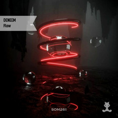 DENEEM - Steps