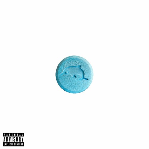 Rajeev - Bottle Nose