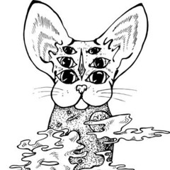 Harmoniusz - The Kittens Wanna Dance@Downtempo Session@26.04.2025