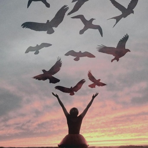 Let it Fly - COMBSTEAD / Robert Grigg