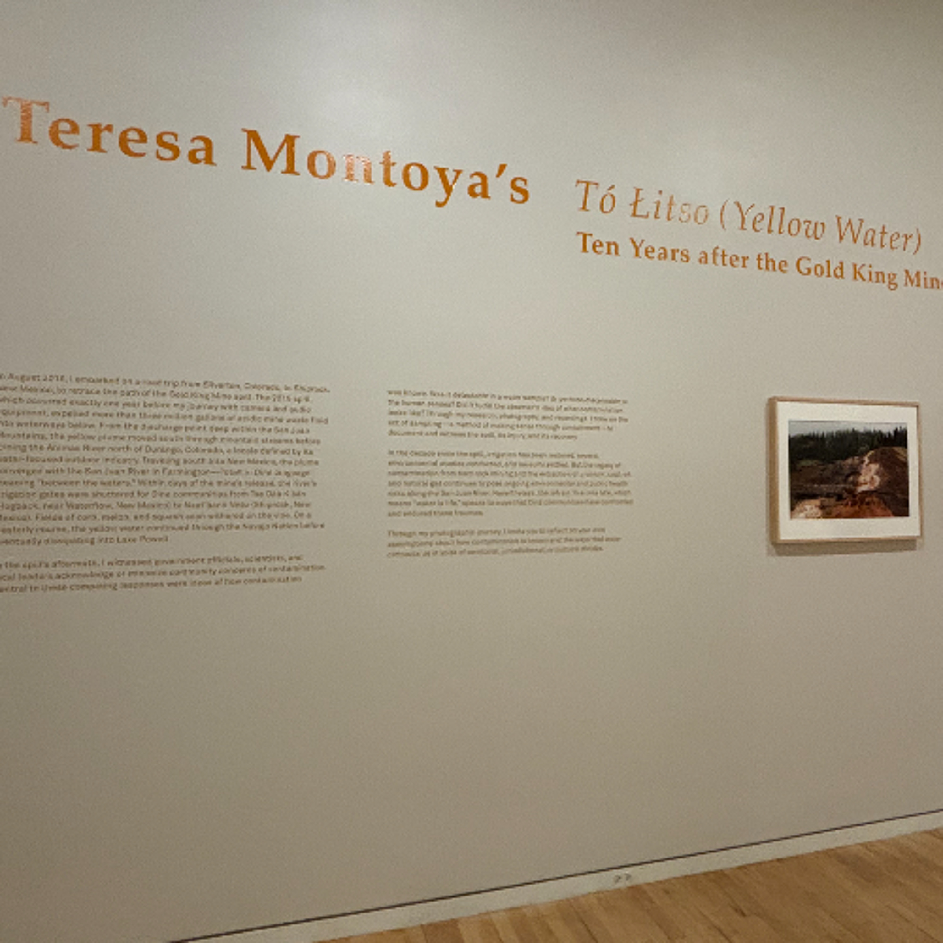 Q&A: Artist Teresa Montoya reflects on her new exhibit ‘Tó Łitso (Yellow Water)’ at the Block Museum of Art