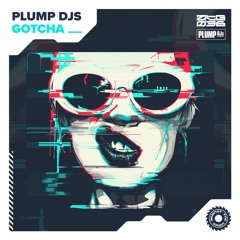 Plump DJs - Gotcha (Radio Edit)