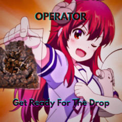 Get Ready For The Drop [Radio Mix]