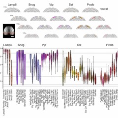 Happuy New Year 20404