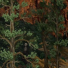 Into The Wildwood Demo