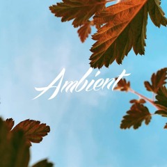 MIDORI - Summer