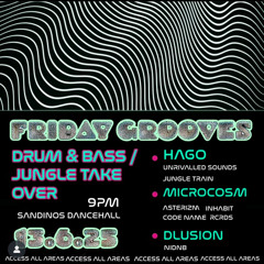 Liquid Drum & Bass @ Sandinos , Derry 130625