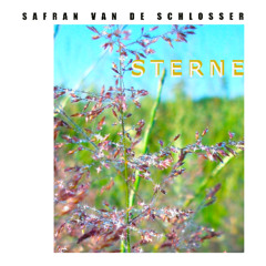 STERNE