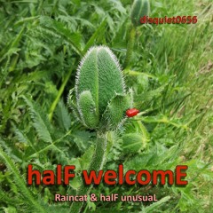 halF welcomE [disquiet0656] with Raincat
