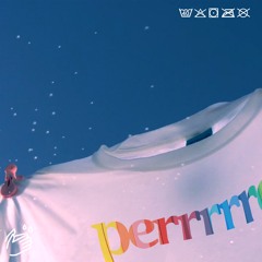 Diego Raposo, mediopicky - perrrrreo