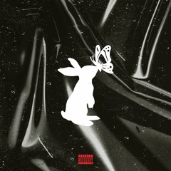 Lil$avyKing & 'Dwellers - ButterFly Rabbit [Bugs Bunny Remix]