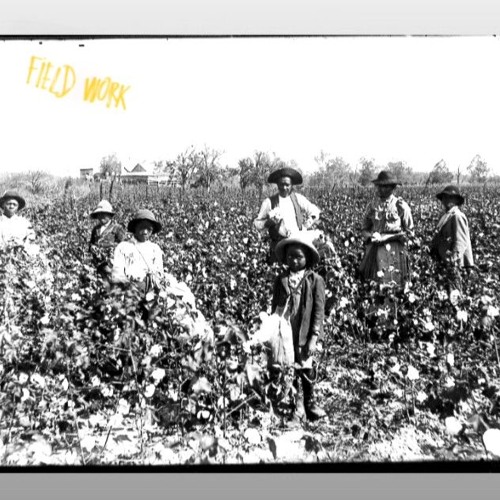 Field Work ft:(Shad0wz & Brickxs
