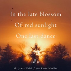 Blossom Of Red Sunlight [naviarhaiku444]