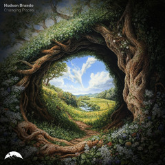 Hudson Brando - Changing Places