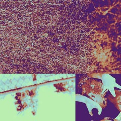 WOOZIE OFFICIAL (PROD. CREEK INDIGO)