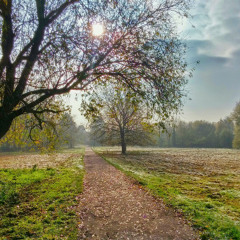 A Little Town In Hertfordshire