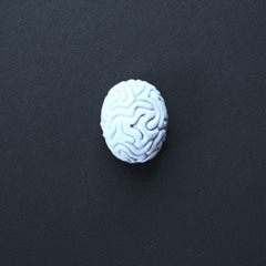 Consciousness