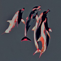 The Assistant_3.22.20