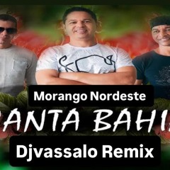 Cata Bahia - Morango do Nordeste ( Djvassalo remix 2025)