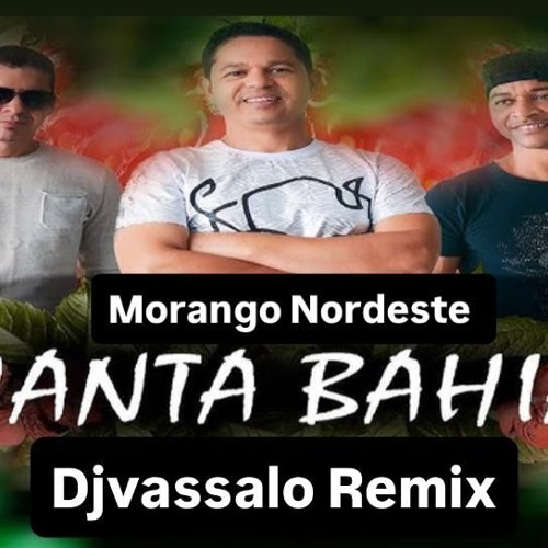 Cata Bahia - Morango do Nordeste ( Djvassalo remix 2025)