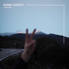 PremEar: Robbie Doherty - Don't Stop [BANDCAMP]