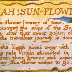 Ah! Sunflower --- William Blake (in song)