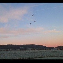 Three little birds ~ selfmade version / Original - Bob marley