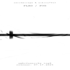 FLAG / FOG (ft. nikita7913)