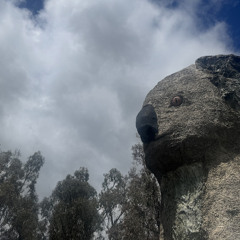 Bridget Small 261125