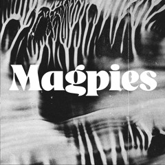 Magpies - Richie Kaboogie