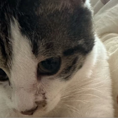 (타입비트) Love is/ Leellamarz, Toil