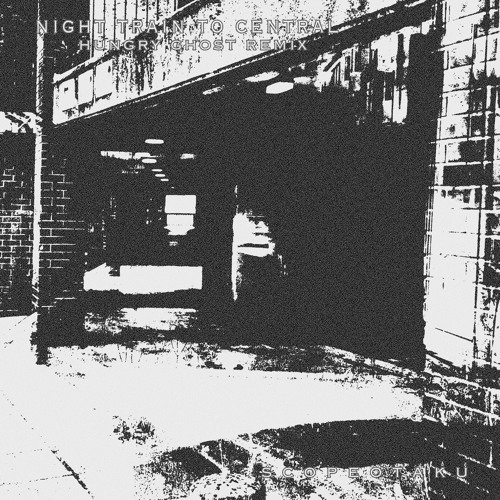 night train to central  -  Hungry Ghost remix