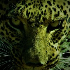 Diasporic Techno In Dub Intro