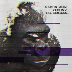 PREMIERE : Martin Merz - Highlights (Extrawelt Laser Blazer Remix)