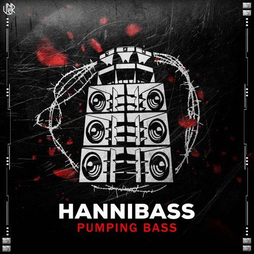 HanniBaSs - Pumping BaSs [UNSR-143]