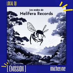[EMISSION] Local Dj -  Les Ondes de Melifera - Gaspard Polar.
