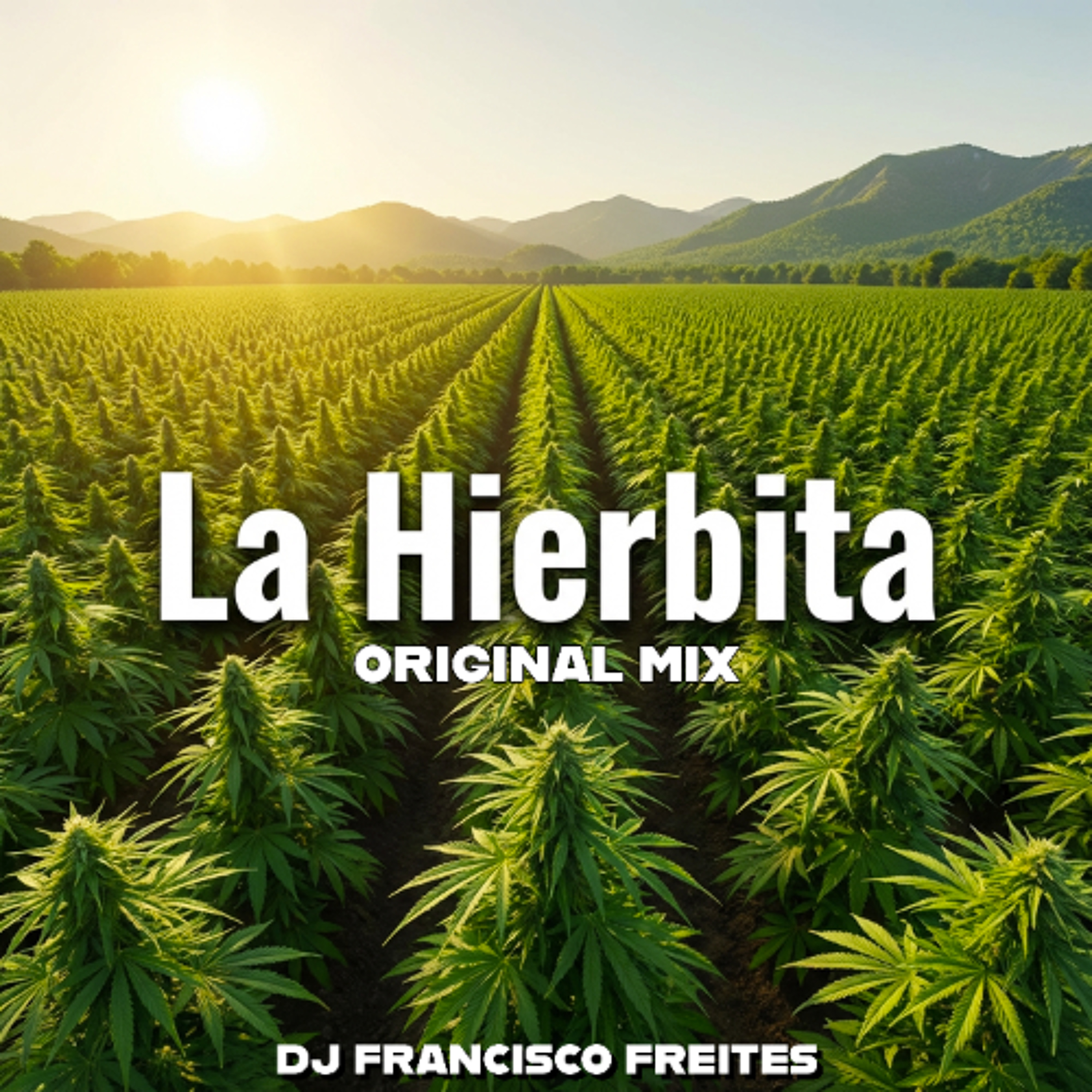 Portada de Dj Francisco Freites Mix