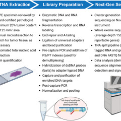 FDA-Approved MI Cancer Seek Test Enhances Tumor Profiling for Precision Oncology