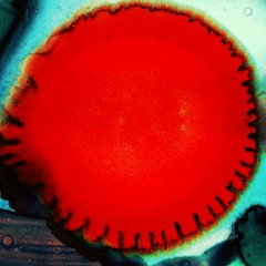 Pertubation