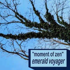 moment of zen 2 (what is nice)