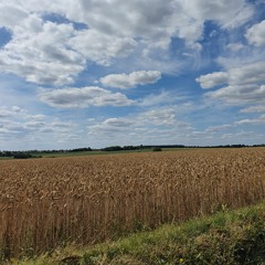 previously from band Flux 32 - What If