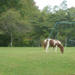 Pandemic Satnam (remix)