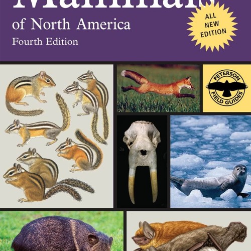 Stream [PDF] Peterson Field Guide to Mammals of North America (Peterson