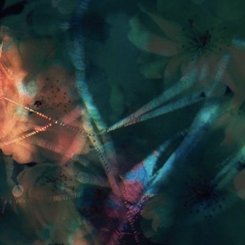 Cosmo Vitelli & Ivan Smagghe-flowers in the gutter mix pt 3