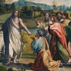 Stay Sharp: The Mission Edge of Every Catholic - 14 Sunday of OT