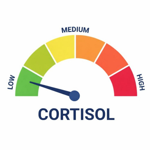LOW CORTISOL HARDTEKK