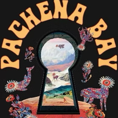 Pachena Bay Music Festival - Juicy Daytime Beach Set