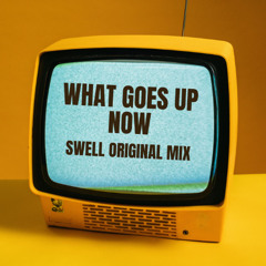 What goes up now - SWELL (ORIGINAL MIX)