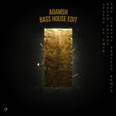 Apashe YMIR - Never Change (The Caracal Project Remix)(AdamSH Bass House Edit)