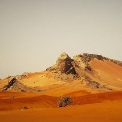 Interview with Fatima Al Shuweihi (Head Of Heritage Space at Tanweer Festival'25)